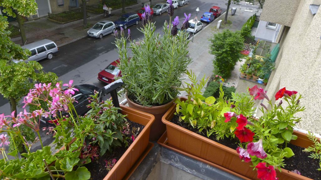 Outside our window: the land of "Balconia". Photo: Megan Spencer 2016